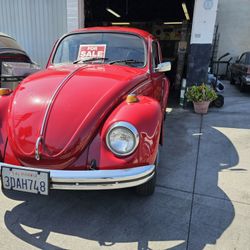 1969 Volkswagen Bug Beetle