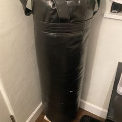 80lb Punching Bag