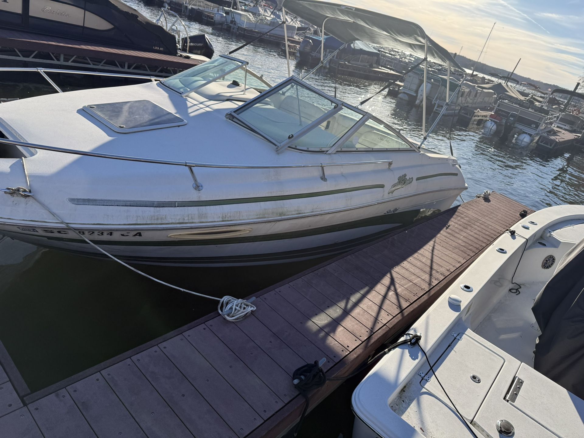 2000 See ray Express cruiser