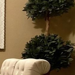 6-foot Topiary Tree, Set Of Two 