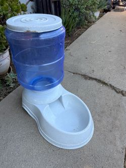 Pet water dispenser
