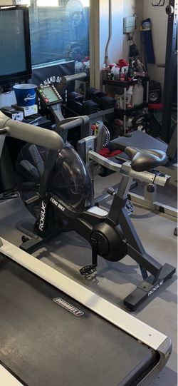 Rogue Echo Bike Air Bike
