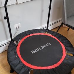 Exercise Trampoline 