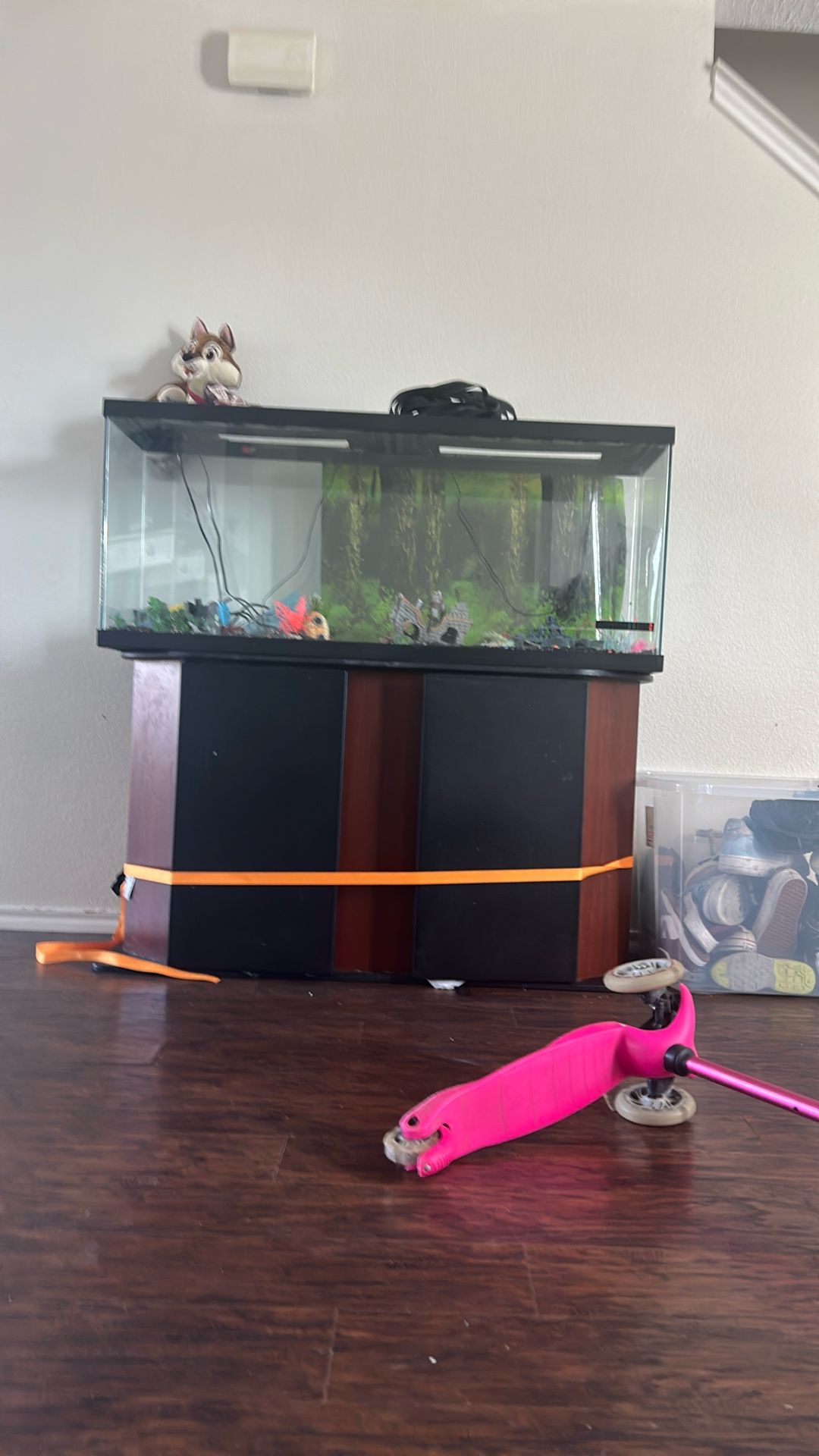 Large Fish Tank