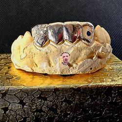 Grillz Gold Teeth