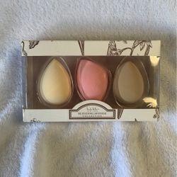 Blending Sponges 3-pack