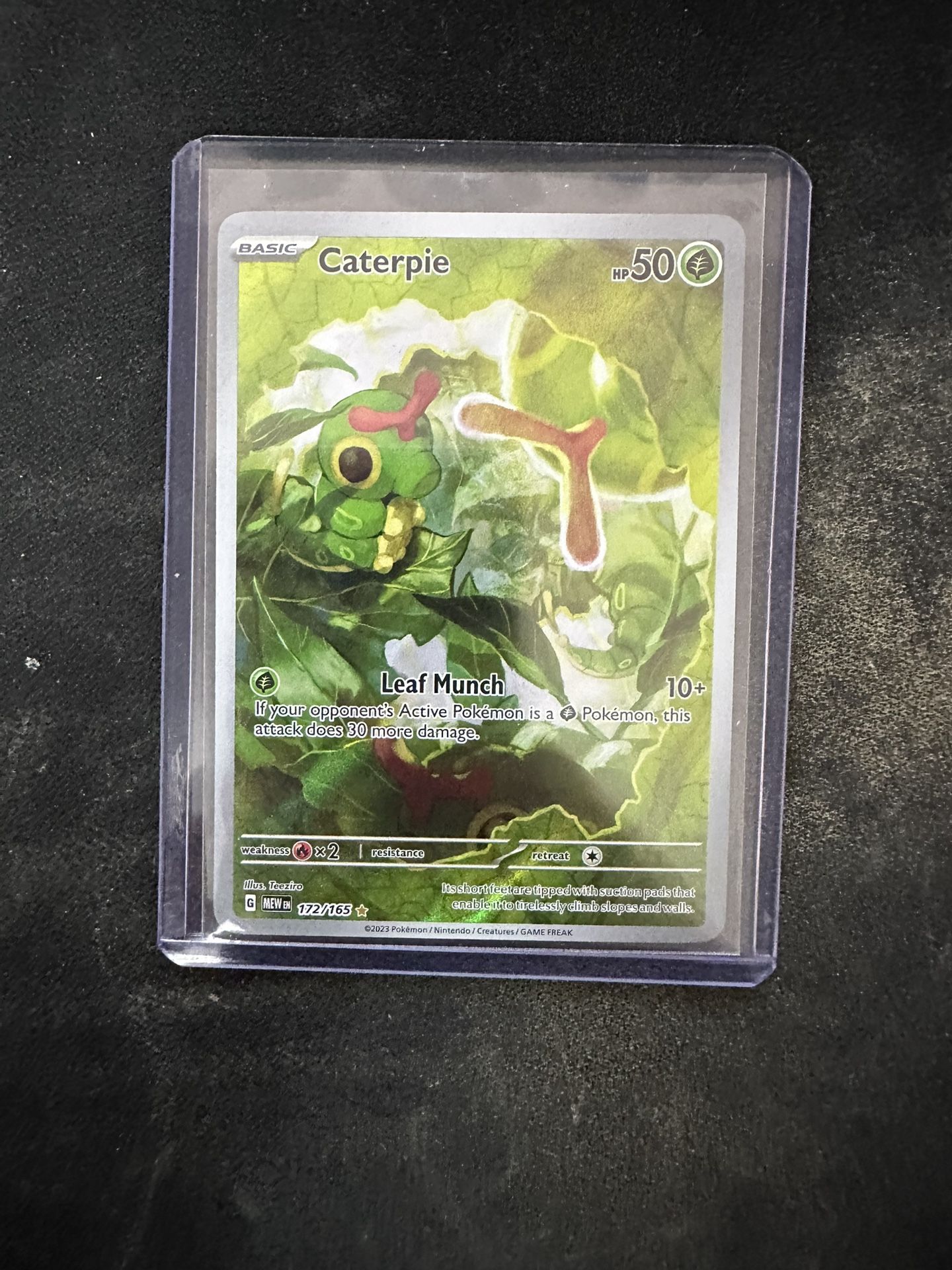 Caterpie #172/165