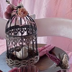 Bird Cages 
