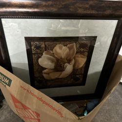 Nice Frames Each 10.00