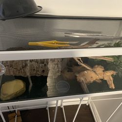 Empty Lizard Cage With Everything And Light 