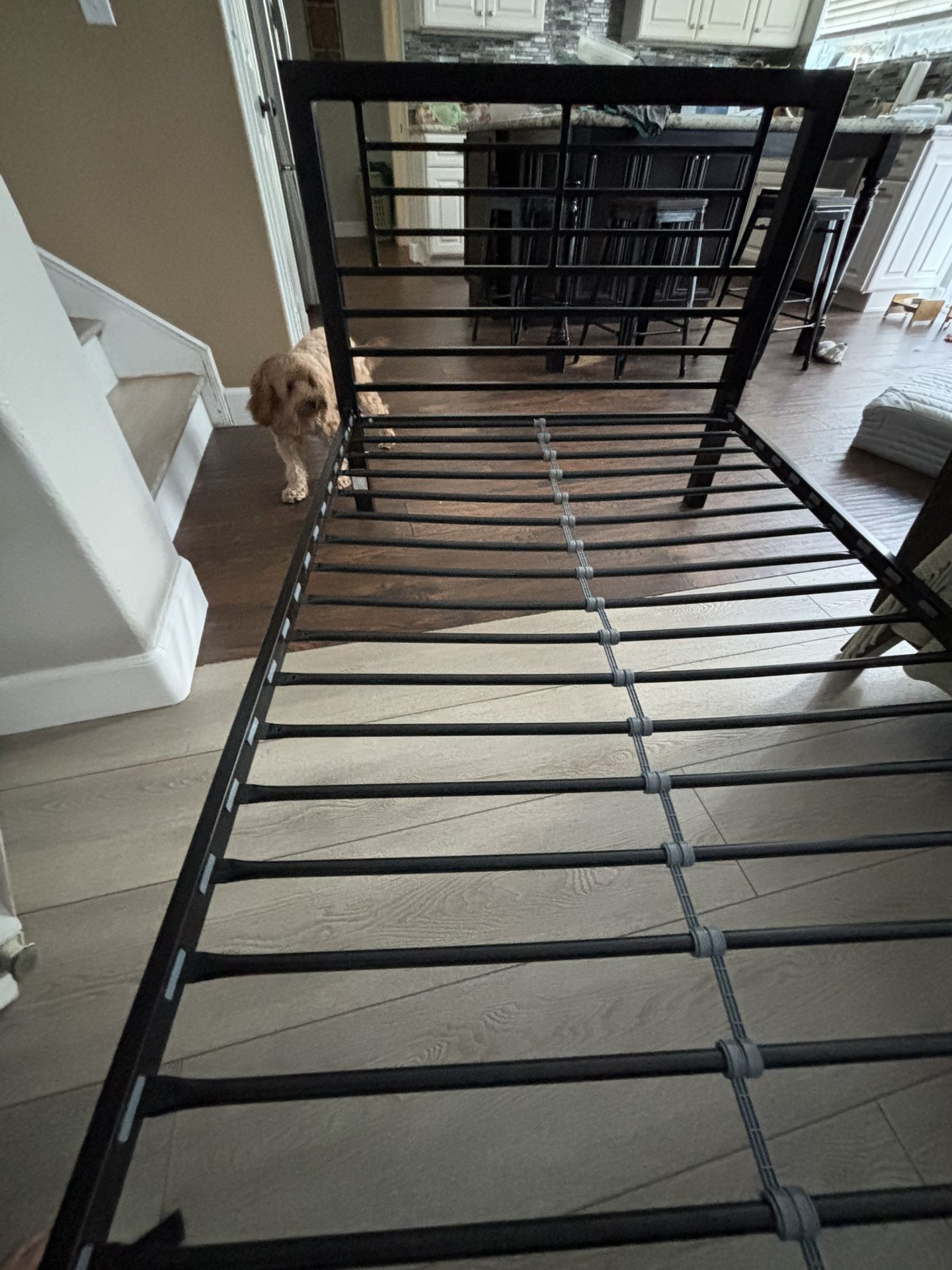 Like New! Metal Bed frame Twin $20