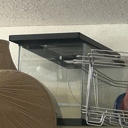 Gallon for fish or reptile