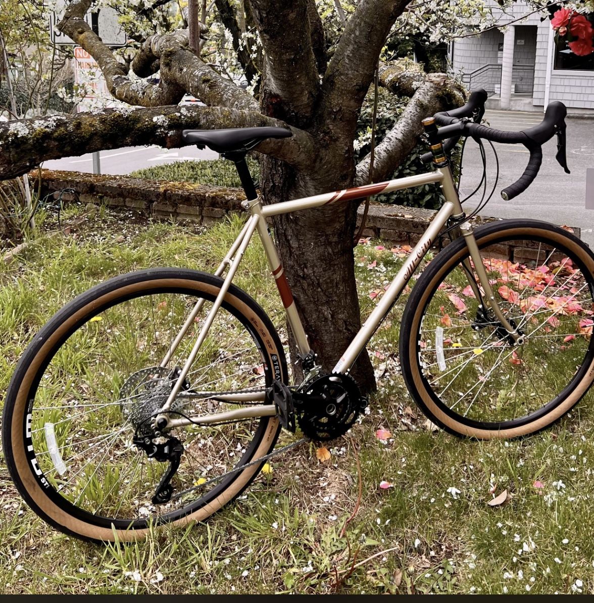 All-City Space Horse GRX 2021  Frame size 58 cm 