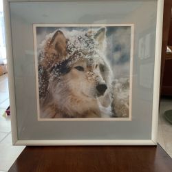 Wolf Print Matted In Gray With White Frame