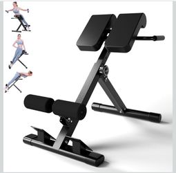 Roman Chair Back Extension Bench