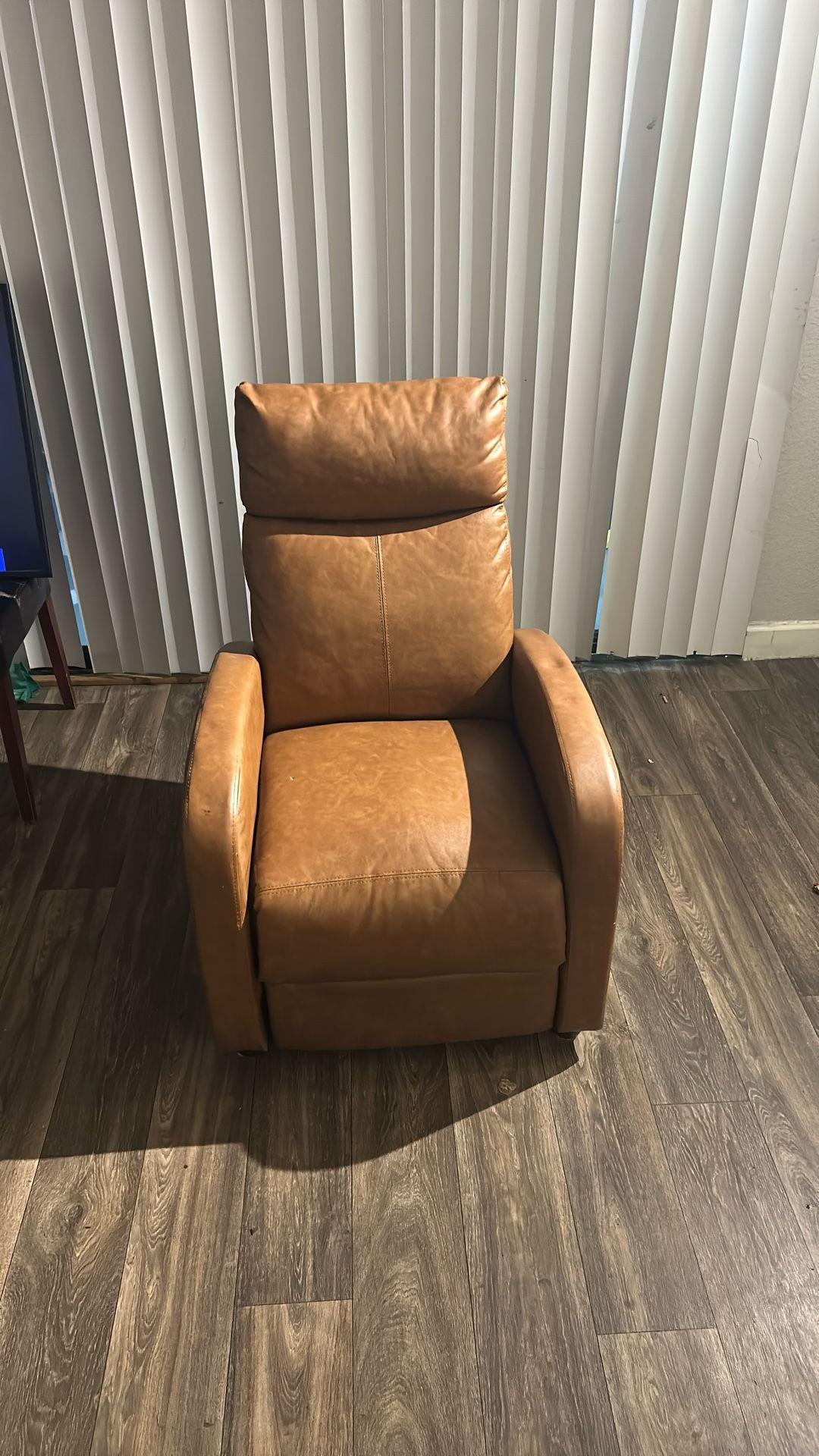 Leather Recliner