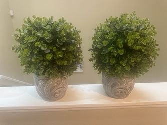Indoor faux plants