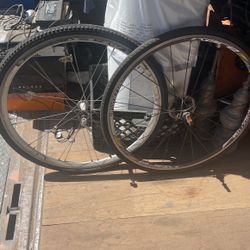 Bike Rims