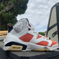 Jordan 6 “Gatorade