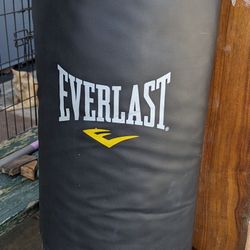 70lb Punching Bag 