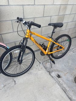 Adult Bike 