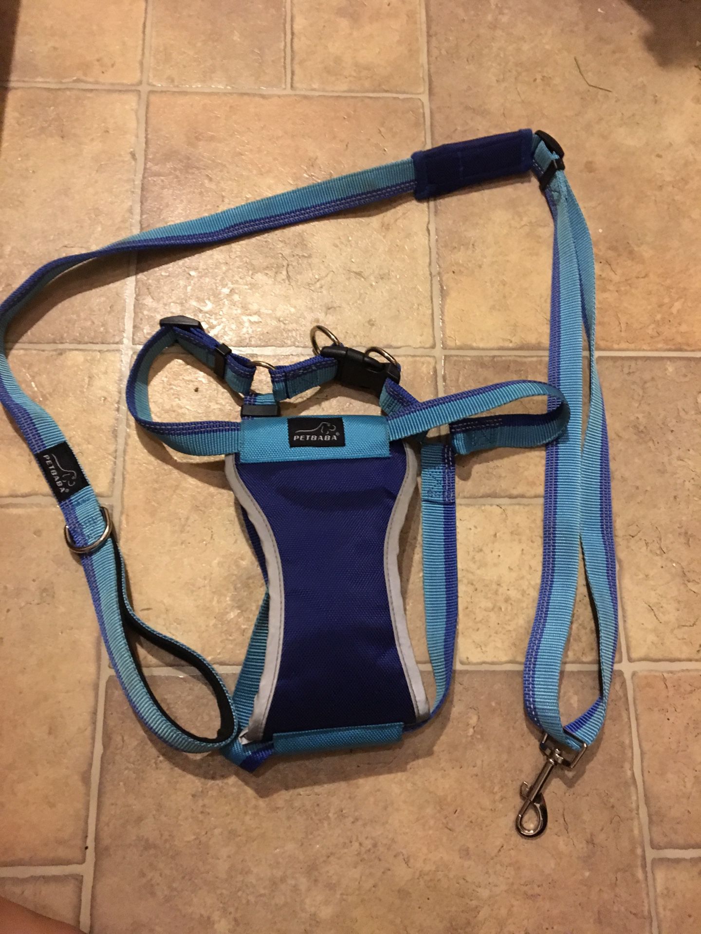 Large dog collar & leash set