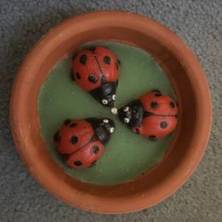Ladybug Candle