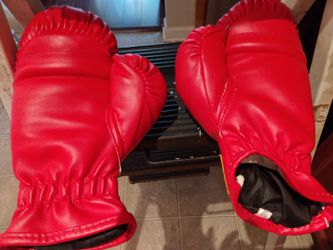 Everlast Heavy punching Bag 70 Lb and EverLast Training Boxing Gloves  Classic RED Small/medium. for Sale in High Point, NC - OfferUp
