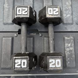 20 Pound Hex Dumbbells Pair