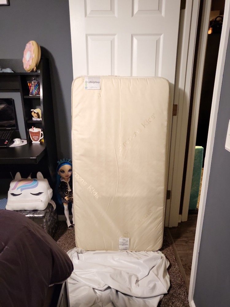 Crib Mattress