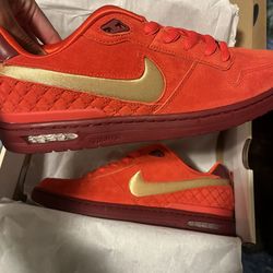 Paul Rodriguez zoom air low