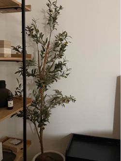 Faux olive tree indoor