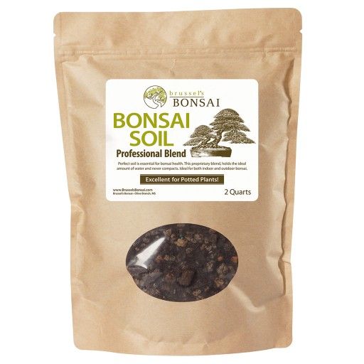 New Bonsai Tree Professional Blend Soil / Potting Soil Mix / Indoor Plant House Plant Garden Patio