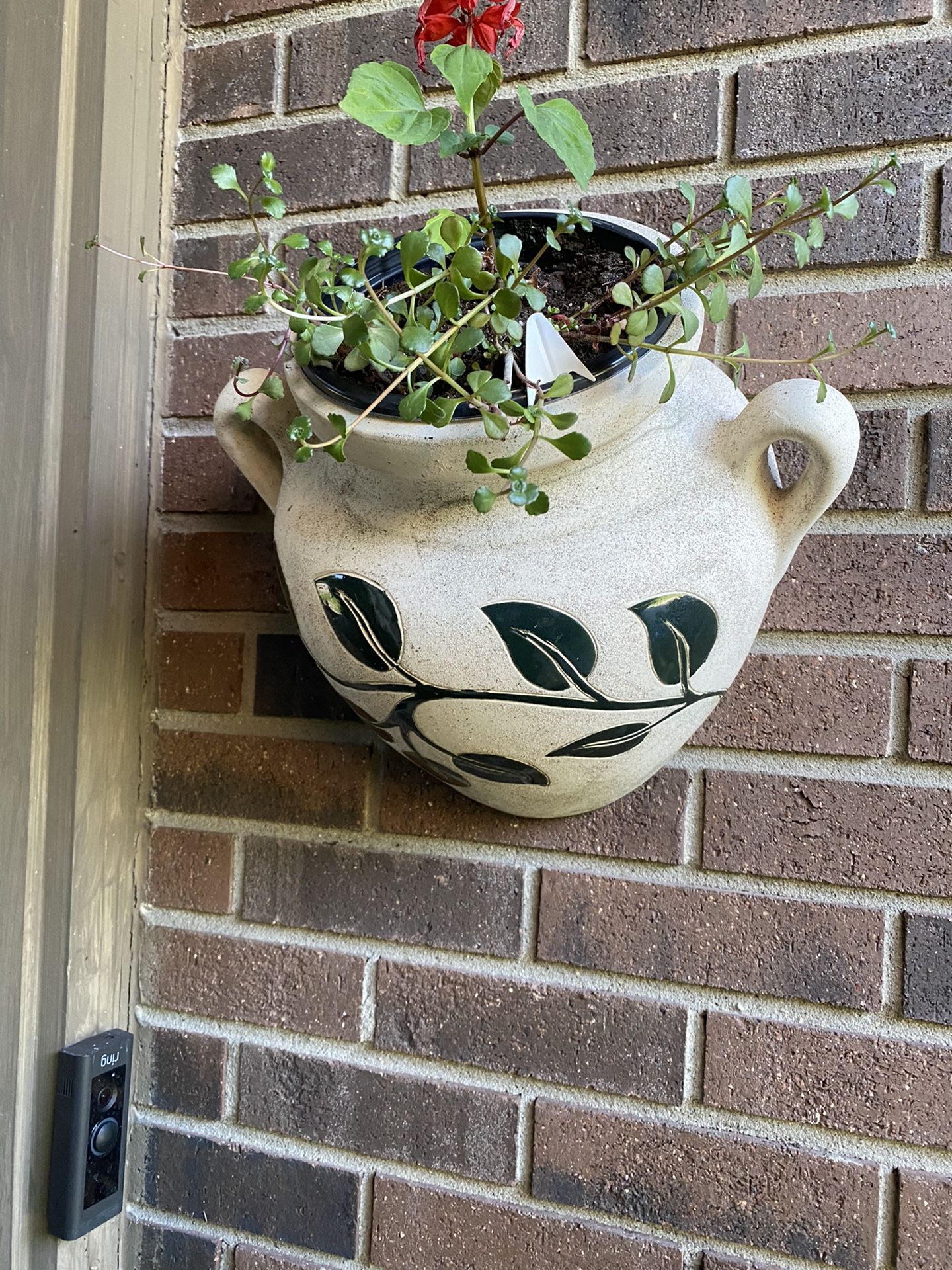 Flower Pot 