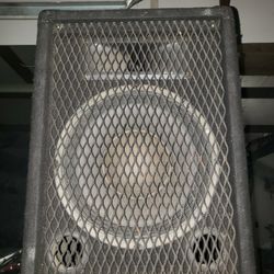 Carvin 805 PA Passive Speaker