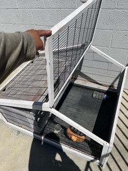 Bunny house