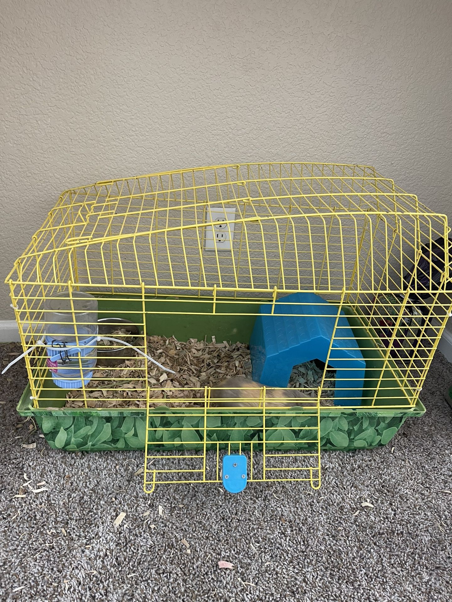 Jaula Para Guinea Pigs