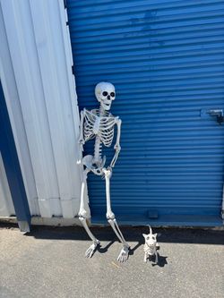 Halloween skeleton and dog