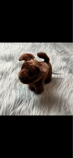 2014 American girl brown dog. $10