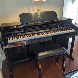 Digital Piano - Adagio Model KDP-8834D