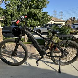 Electric Bicycle 