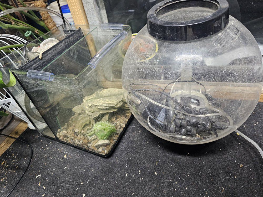 Small Fish Tank Aquarium  Bio orb And Cube