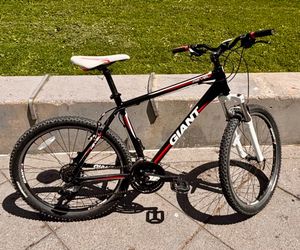 Giant bike