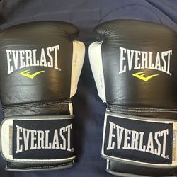 Everlast Powerlock Hook And Loop