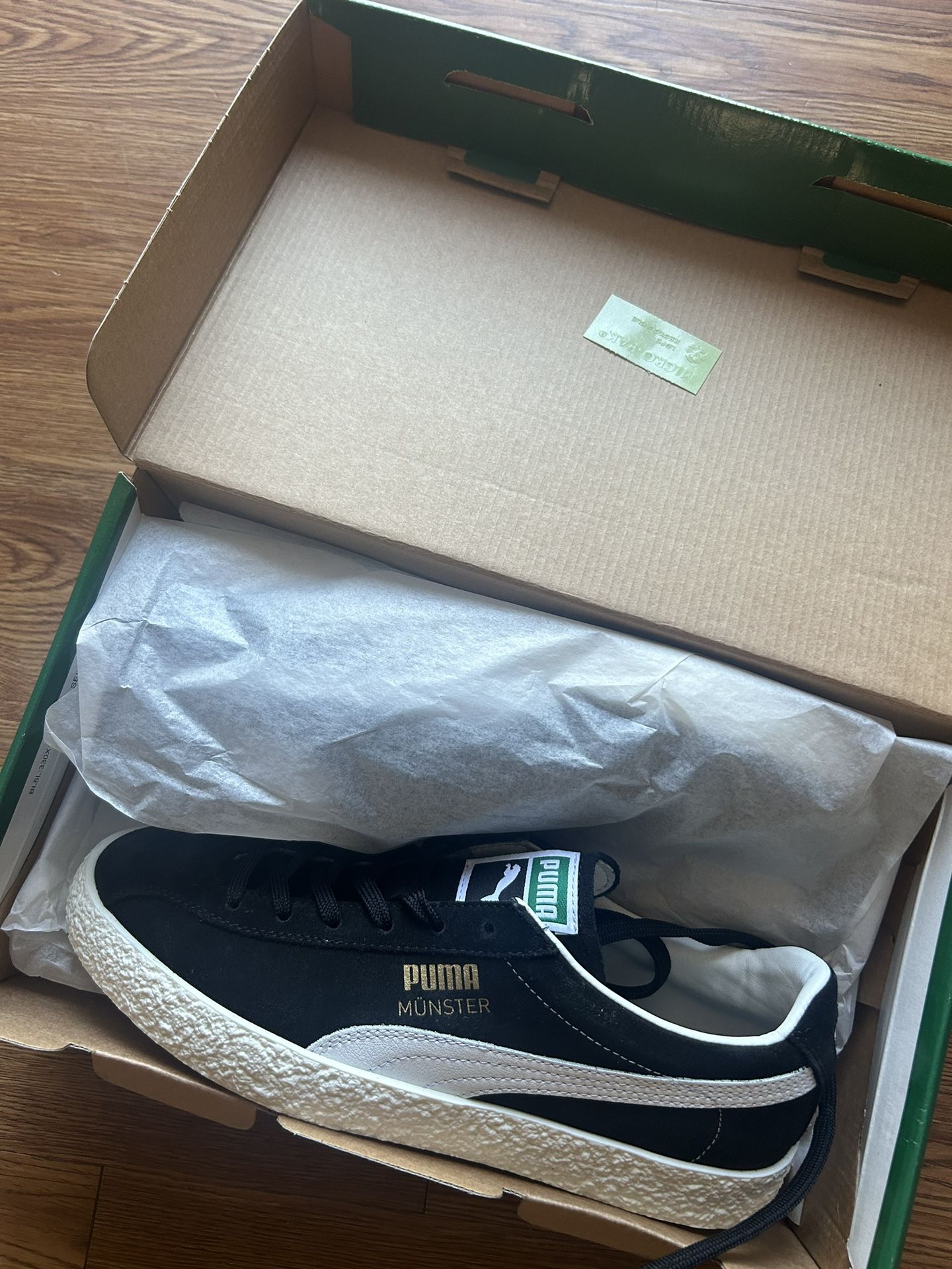 Pumas
