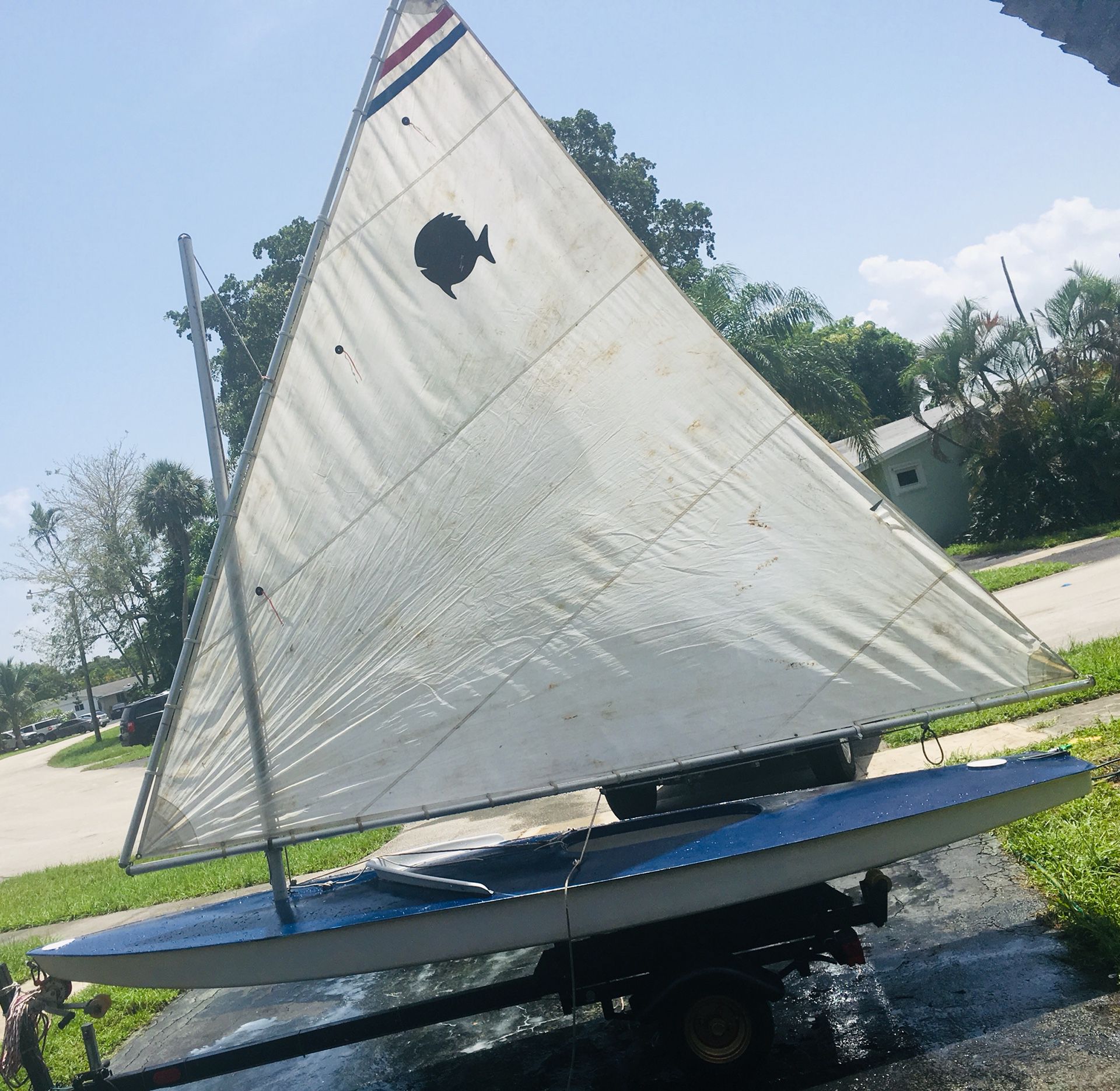 Sunfish sailboat. Includes trailer. Ready to sail