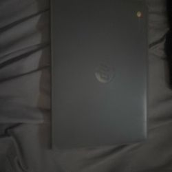 Hp Chromebook 