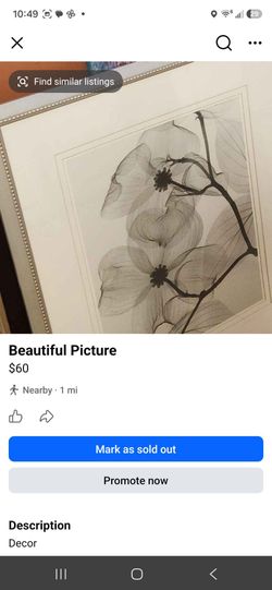 Beautiful Picture
