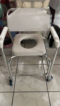 Potty Chair 