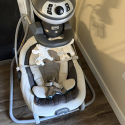 Graco Baby Swing 